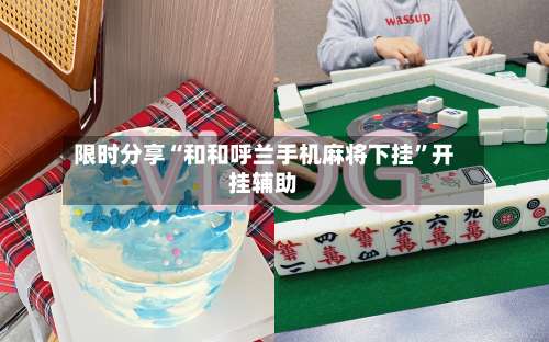 限时分享“和和呼兰手机麻将下挂”开挂辅助-第1张图片