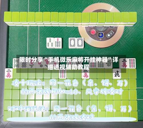 限时分享“手机微乐麻将开挂神器”详细透视辅助教程-第1张图片