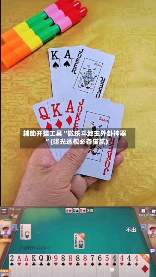 辅助开挂工具“微乐斗地主外卦神器”(曝光透视必备猫腻)-第1张图片