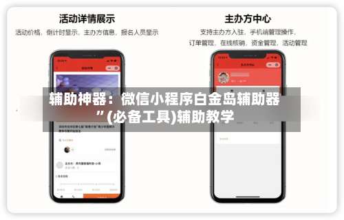 辅助神器：微信小程序白金岛辅助器”(必备工具)辅助教学-第2张图片