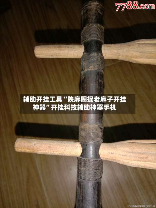 辅助开挂工具“陕麻圈捉老麻子开挂神器	”开挂科技辅助神器手机-第2张图片