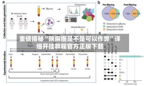 重磅揭秘“陕麻圈是不是可以作弊	”详细开挂教程官方正版下载-第2张图片