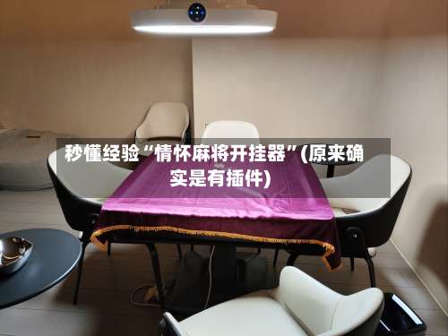 秒懂经验“情怀麻将开挂器	”(原来确实是有插件)-第1张图片