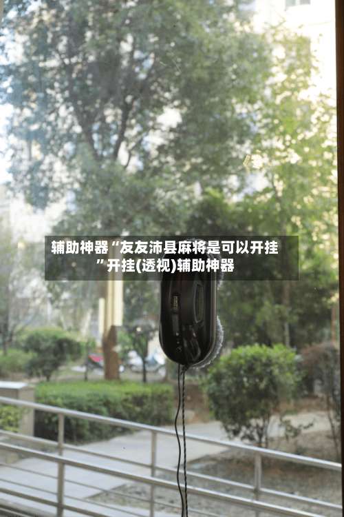 辅助神器“友友沛县麻将是可以开挂	”开挂(透视)辅助神器-第2张图片