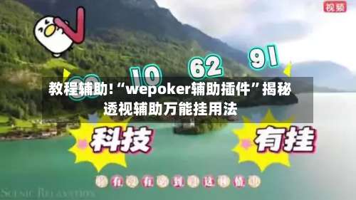 教程辅助!“wepoker辅助插件	”揭秘透视辅助万能挂用法-第1张图片