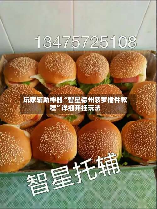 玩家辅助神器“智星德州菠萝插件教程”详细开挂玩法-第2张图片