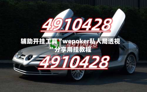 辅助开挂工具“wepoker私人局透视”分享用挂教程-第2张图片