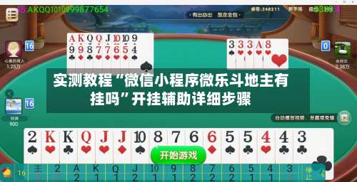 实测教程“微信小程序微乐斗地主有挂吗”开挂辅助详细步骤-第3张图片