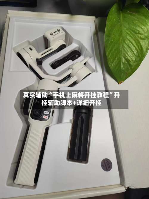 真实辅助“手机上麻将开挂教程”开挂辅助脚本+详细开挂-第2张图片