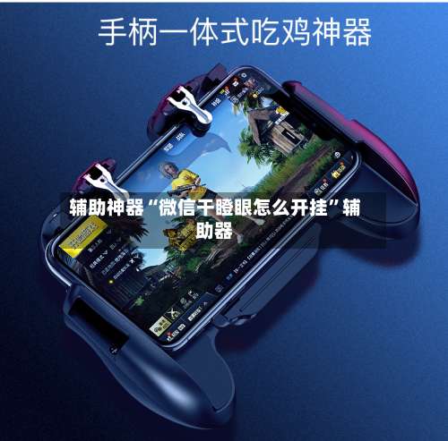 辅助神器“微信干瞪眼怎么开挂”辅助器-第2张图片