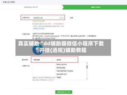 真实辅助“dd辅助器微信小程序下载”开挂(透视)辅助教程-第2张图片