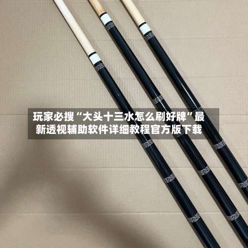 玩家必搜“大头十三水怎么刷好牌	”最新透视辅助软件详细教程官方版下载-第2张图片