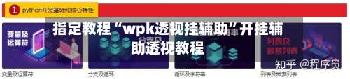 指定教程“wpk透视挂辅助”开挂辅助透视教程-第2张图片