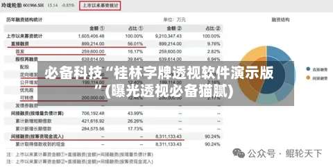 必备科技“桂林字牌透视软件演示版	”(曝光透视必备猫腻)-第2张图片