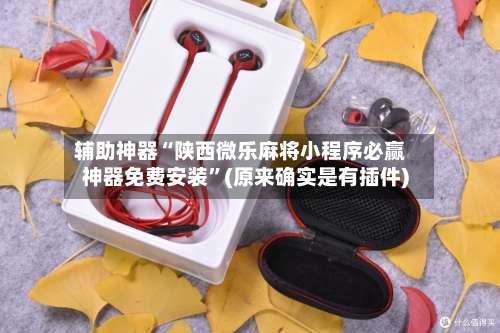 辅助神器“陕西微乐麻将小程序必赢神器免费安装	”(原来确实是有插件)-第3张图片