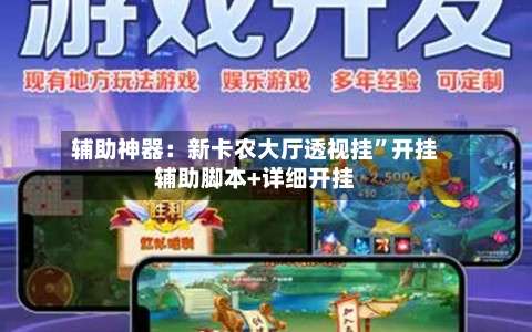 辅助神器：新卡农大厅透视挂	”开挂辅助脚本+详细开挂-第1张图片