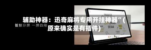 辅助神器：迅奇麻将专用开挂神器”(原来确实是有插件)-第3张图片