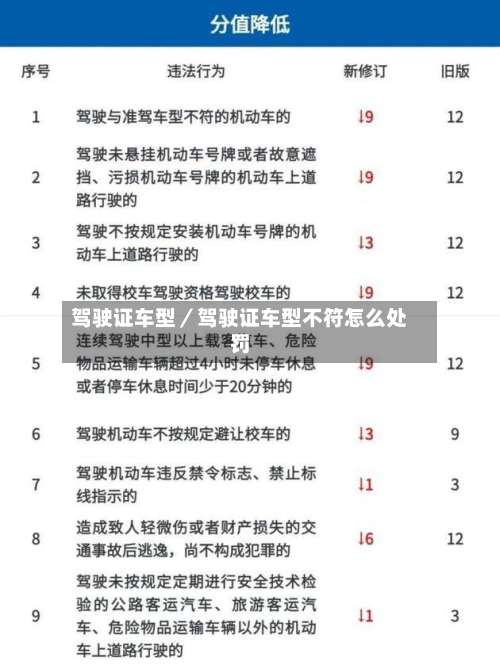 驾驶证车型/驾驶证车型不符怎么处罚-第1张图片