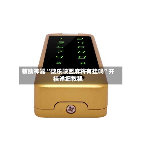 辅助神器“微乐陕西麻将有挂吗	”开挂详细教程-第2张图片