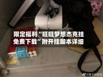 限定福利“旺旺梦想杰克挂免费下载”附开挂脚本详细-第2张图片