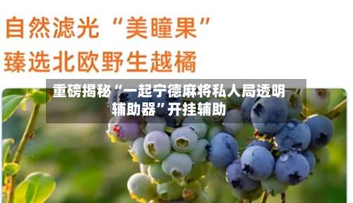 重磅揭秘“一起宁德麻将私人局透明辅助器”开挂辅助-第3张图片