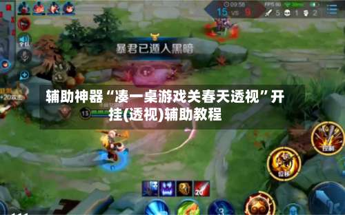 辅助神器“凑一桌游戏关春天透视”开挂(透视)辅助教程-第1张图片