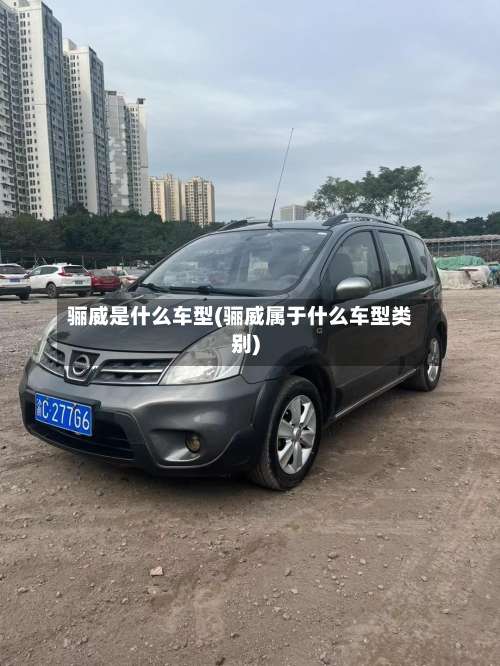 骊威是什么车型(骊威属于什么车型类别)-第3张图片