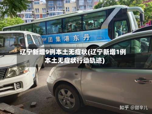 辽宁新增9例本土无症状(辽宁新增1例本土无症状行动轨迹)-第1张图片