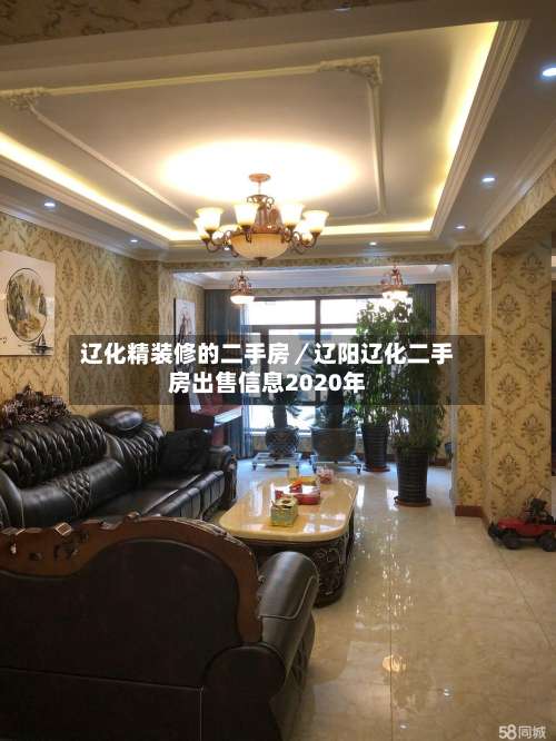 辽化精装修的二手房／辽阳辽化二手房出售信息2020年-第2张图片