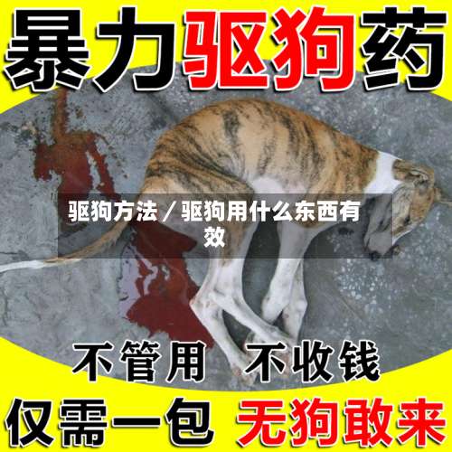 驱狗方法／驱狗用什么东西有效-第2张图片