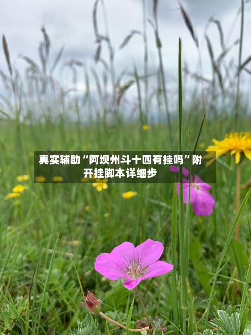 真实辅助“阿坝州斗十四有挂吗”附开挂脚本详细步-第1张图片