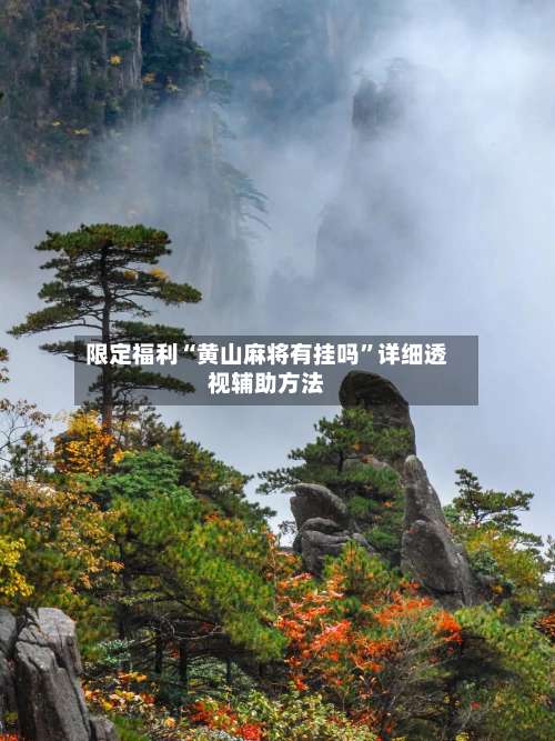 限定福利“黄山麻将有挂吗	”详细透视辅助方法-第2张图片