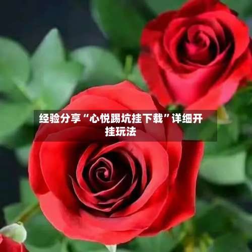 经验分享“心悦踢坑挂下载	”详细开挂玩法-第3张图片