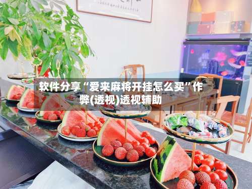 软件分享“爱来麻将开挂怎么买”作弊(透视)透视辅助-第2张图片