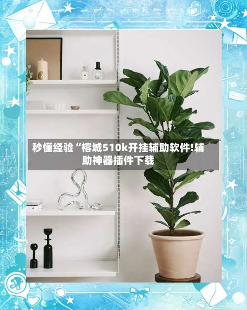 秒懂经验“榕城510k开挂辅助软件!辅助神器插件下载-第1张图片