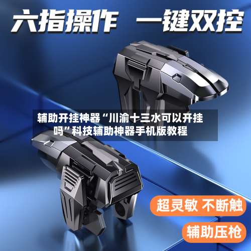 辅助开挂神器“川渝十三水可以开挂吗”科技辅助神器手机版教程-第3张图片