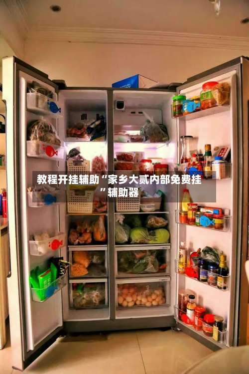 教程开挂辅助“家乡大贰内部免费挂	”辅助器-第2张图片