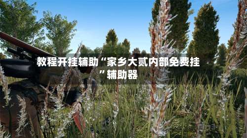 教程开挂辅助“家乡大贰内部免费挂”辅助器-第3张图片