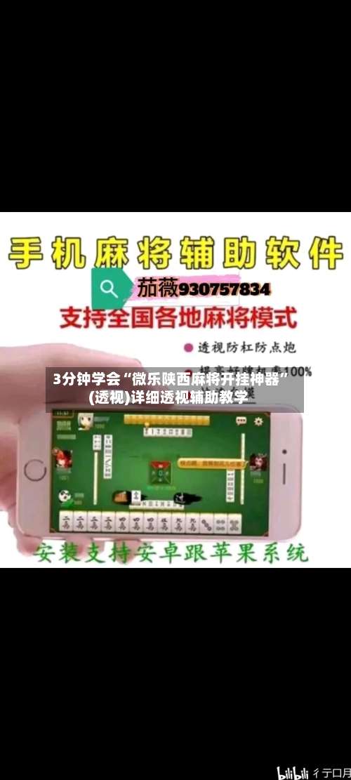 3分钟学会“微乐陕西麻将开挂神器”(透视)详细透视辅助教学-第2张图片