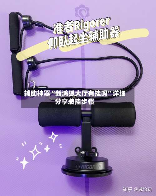 辅助神器“新鸿狐大厅有挂吗”详细分享装挂步骤-第2张图片