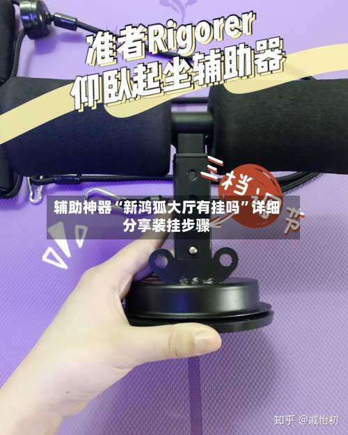 辅助神器“新鸿狐大厅有挂吗	”详细分享装挂步骤-第3张图片