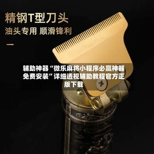 辅助神器“微乐麻将小程序必赢神器免费安装	”详细透视辅助教程官方正版下载-第3张图片