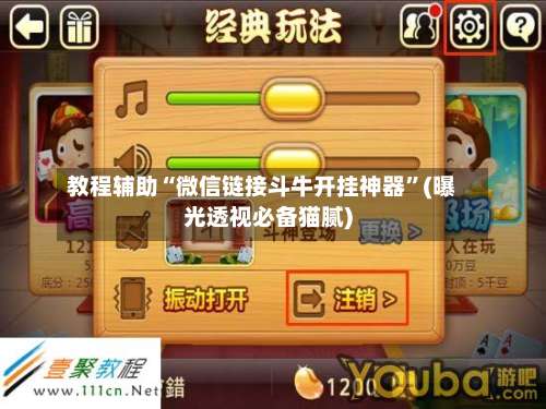 教程辅助“微信链接斗牛开挂神器	”(曝光透视必备猫腻)-第3张图片