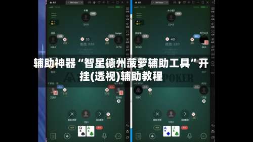 辅助神器“智星德州菠萝辅助工具	”开挂(透视)辅助教程-第1张图片