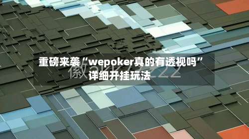 重磅来袭“wepoker真的有透视吗”详细开挂玩法-第2张图片