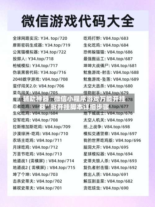 辅助神器“微信小程序游戏万能开挂器	”附开挂脚本详细步骤-第3张图片