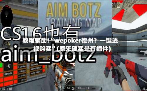 教程辅助!“wepoker德州？一键透视购买”(原来确实是有插件)-第1张图片