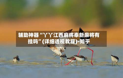 辅助神器“丫丫江西麻将奉新麻将有挂吗”(详细透视教程)-知乎-第1张图片