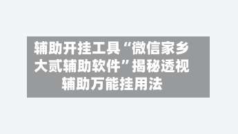 辅助开挂工具“微信家乡大贰辅助软件”揭秘透视辅助万能挂用法-第1张图片