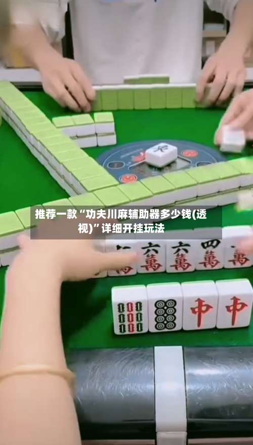 推荐一款“功夫川麻辅助器多少钱(透视)”详细开挂玩法-第3张图片